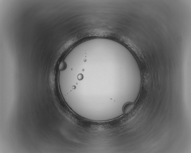 X0000110740679200906290948