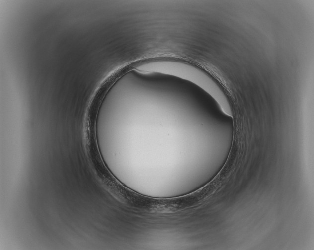 X0000110740680200906290948