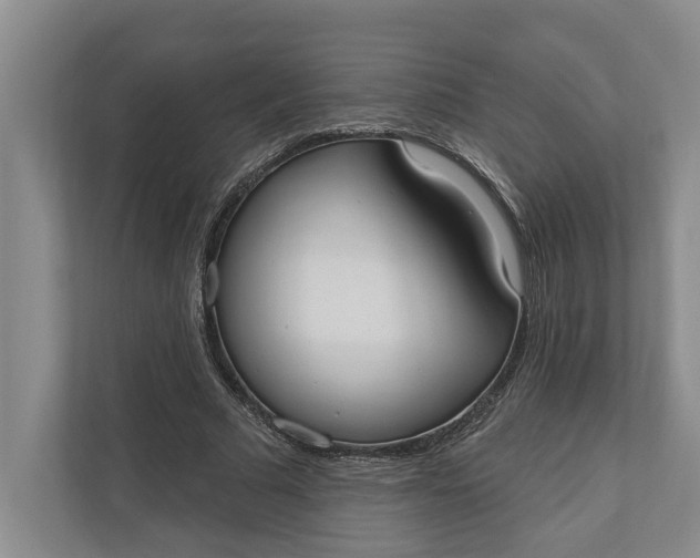 X0000110740681200906290948