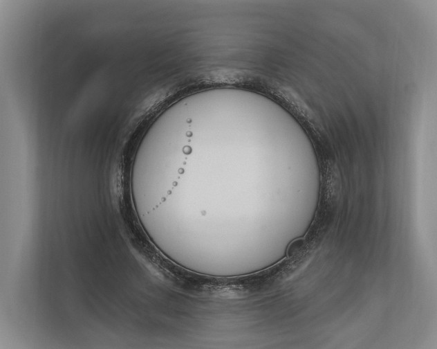 X0000110740683200906290948