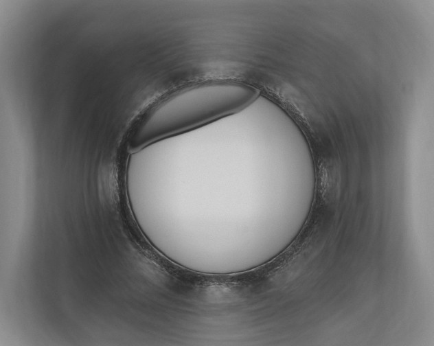 X0000110740684200906290948