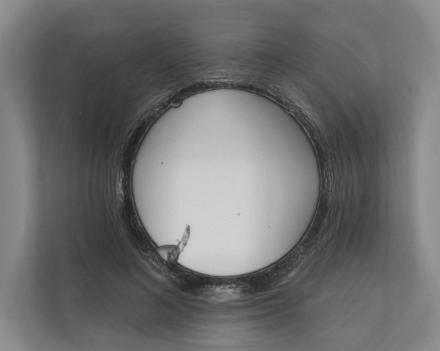 X0000110740692200906290948