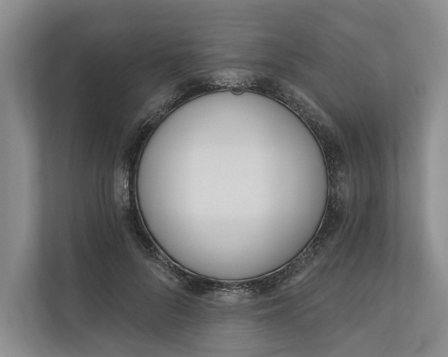 X0000110740696200906290948