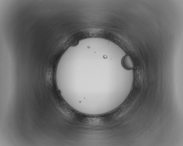 X0000110740698200906290948