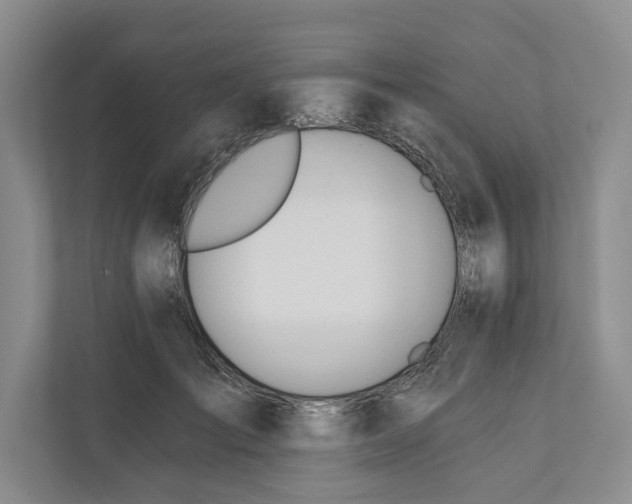 X0000110740701200906290948