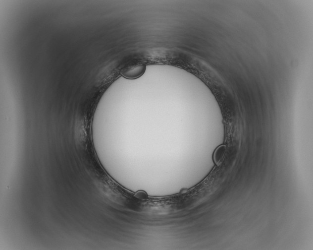 X0000110740702200906290948