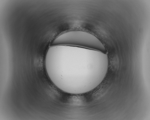 X0000110740708200906290948