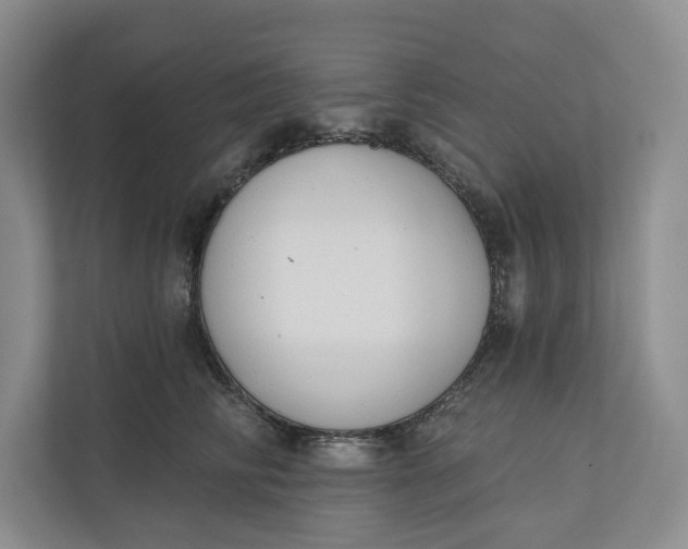 X0000110740710200906290948