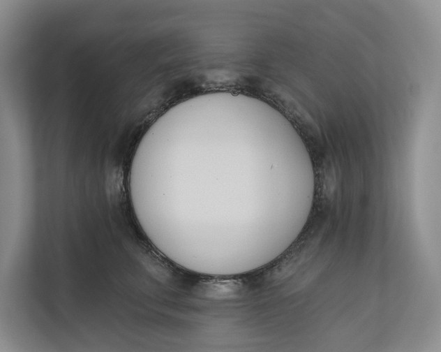 X0000110740711200906290948