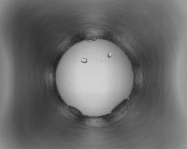 X0000110740716200906290948