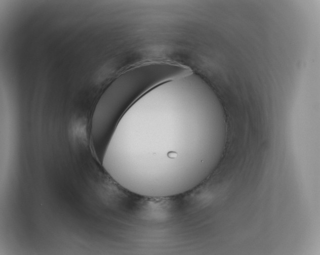 X0000110740720200906290948