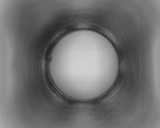 X0000110740722200906290947