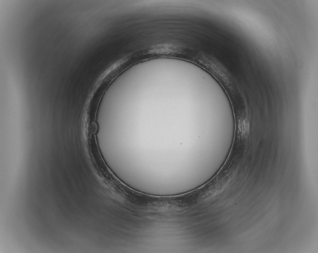 X0000110740724200906290947