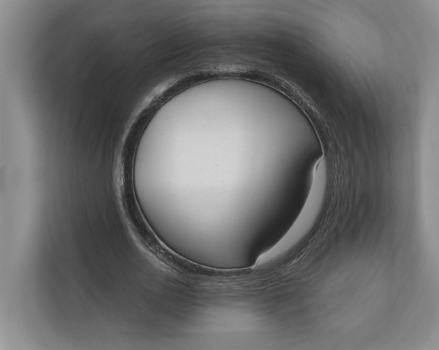 X0000110740726200906290947