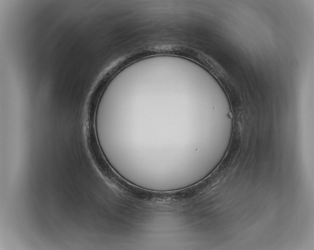 X0000110740728200906290947