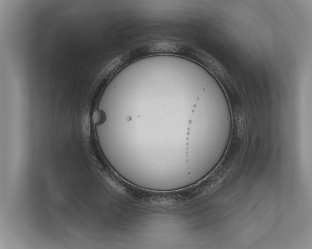 X0000110740729200906290947