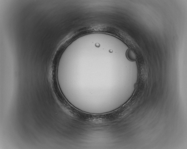 X0000110740730200906290947