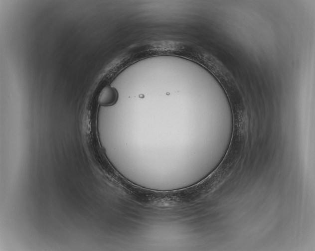 X0000110740731200906290947