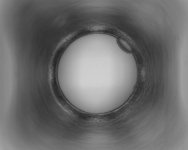 X0000110740732200906290947