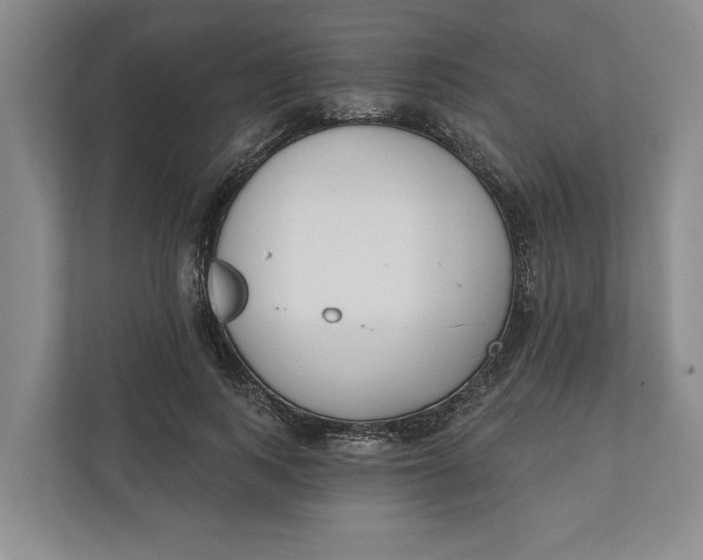 X0000110740743200906290947