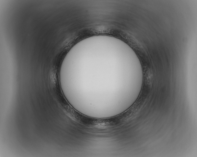 X0000110740746200906290948