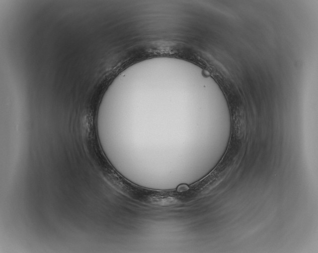 X0000110740747200906290948