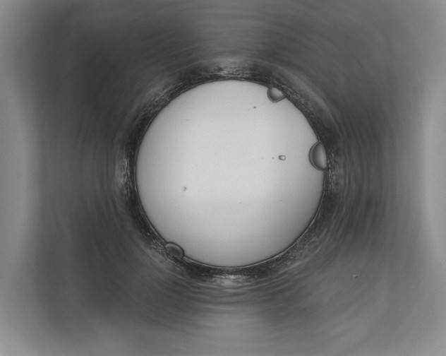 X0000110740748200906290948