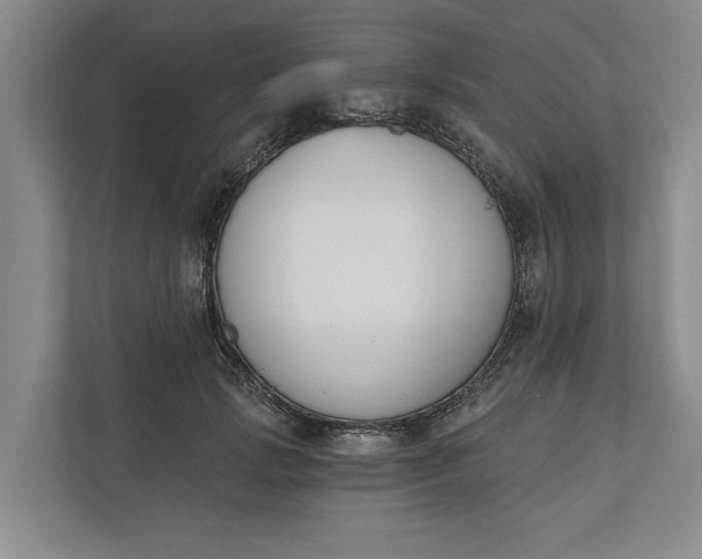 X0000110740749200906290948