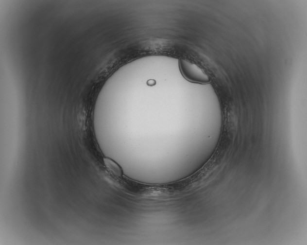 X0000110740750200906290948