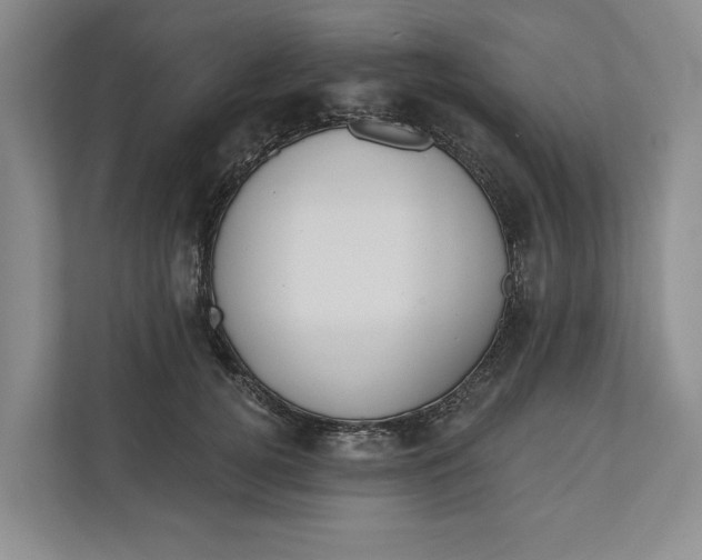 X0000110740752200906290948