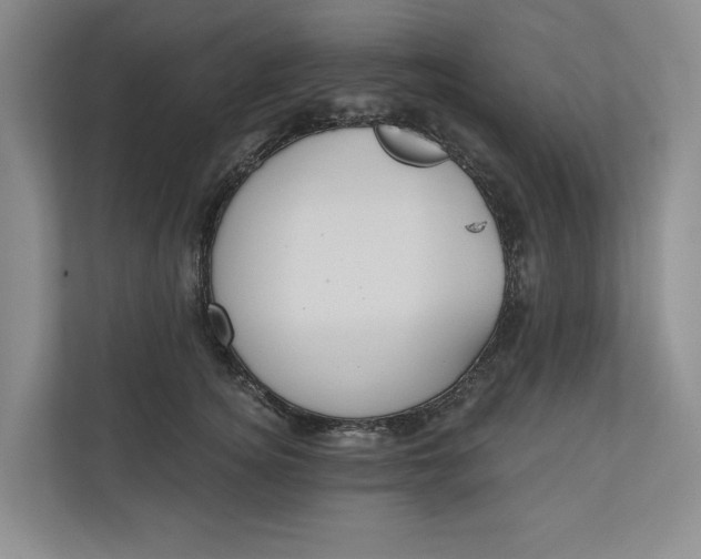 X0000110740756200906290948