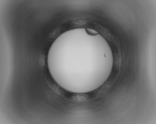 X0000110740758200906290948