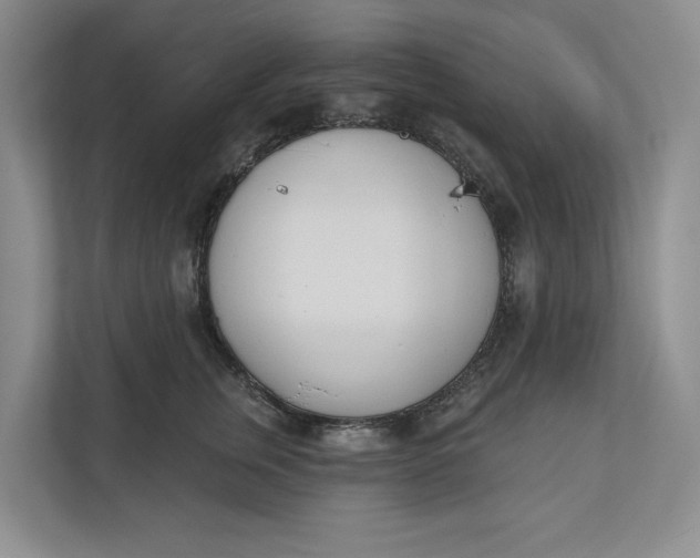 X0000110740759200906290948