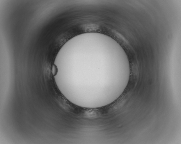 X0000110740761200906290948