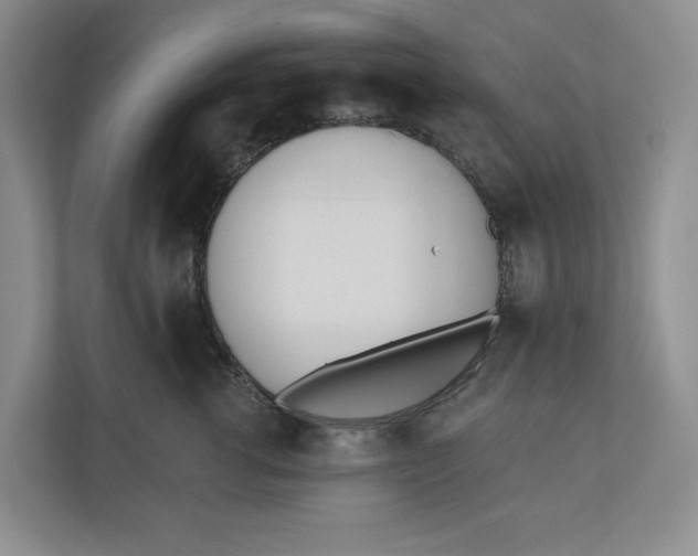 X0000110740762200906290948