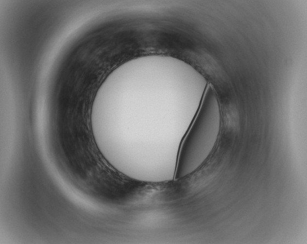 X0000110740764200906290948