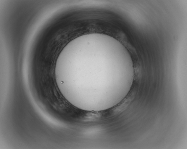 X0000110740765200906290948