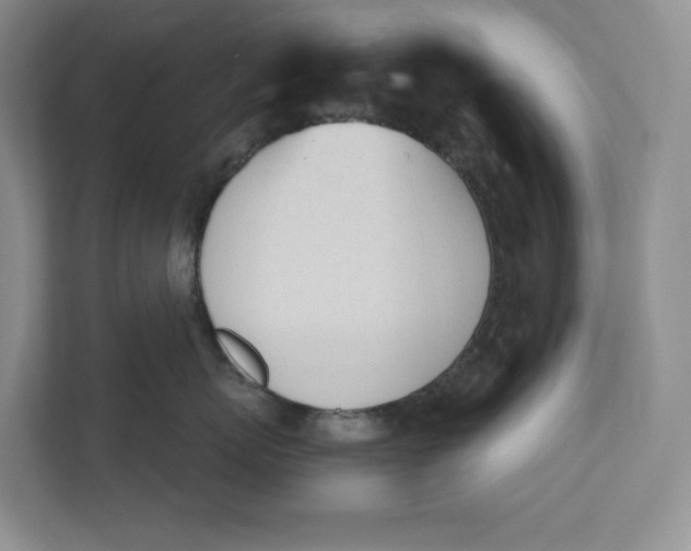 X0000110740767200906290948