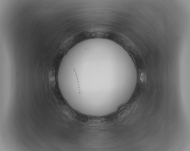 X0000110740771200906290947