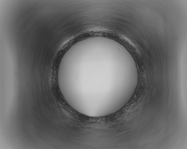 X0000110740775200906290947