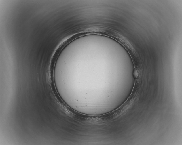 X0000110740784200906290947