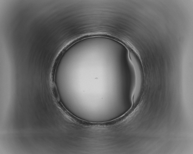 X0000110740789200906290947