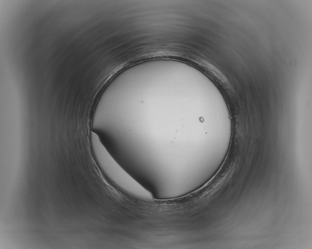 X0000110740793200906290947