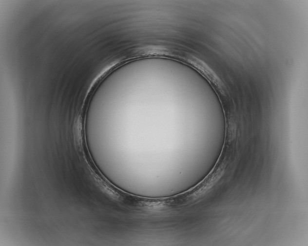 X0000110740798200906290947