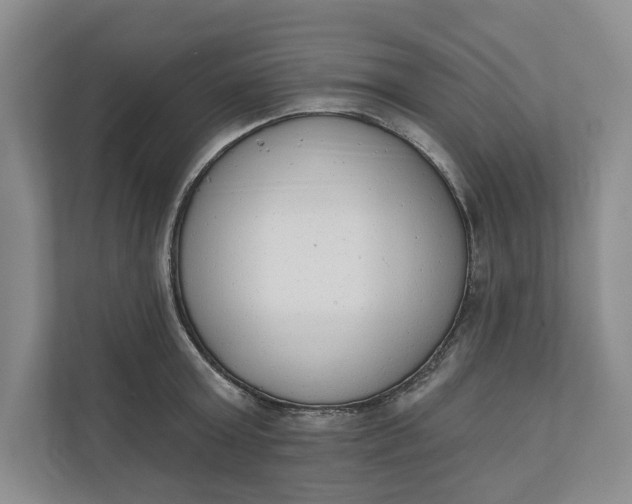 X0000110740803200906290947