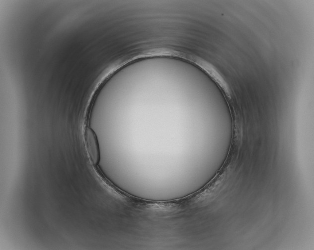 X0000110740805200906290947