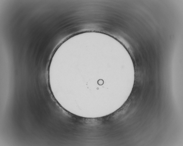 X0000110740807200906290947