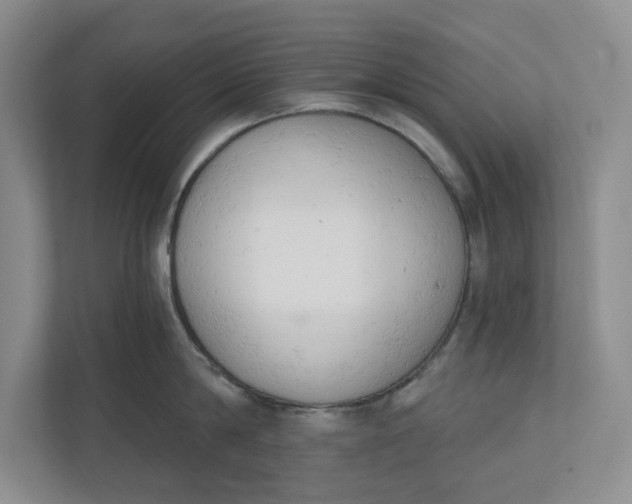 X0000110740814200906290947