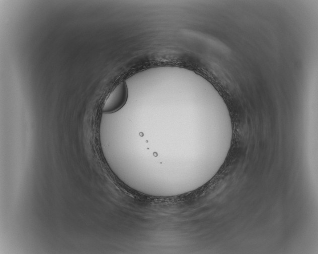 X0000110740817200906290946