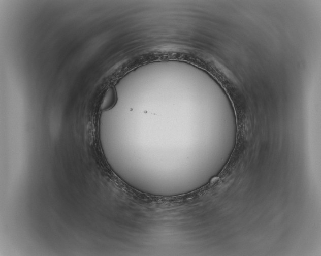 X0000110740821200906290946